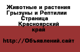 Животные и растения Грызуны и Рептилии - Страница 2 . Красноярский край